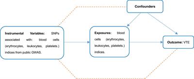 Blood Cells and Venous Thromboembolism Risk: A Two-Sample Mendelian Randomization Study